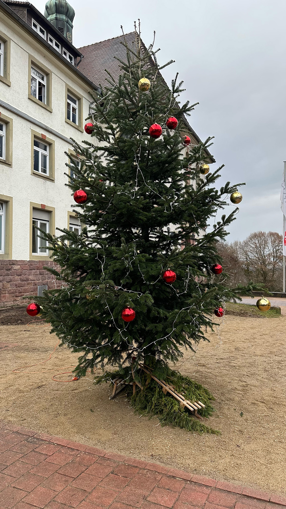 Weihnachtsbaum vor dem Augustinusheim
