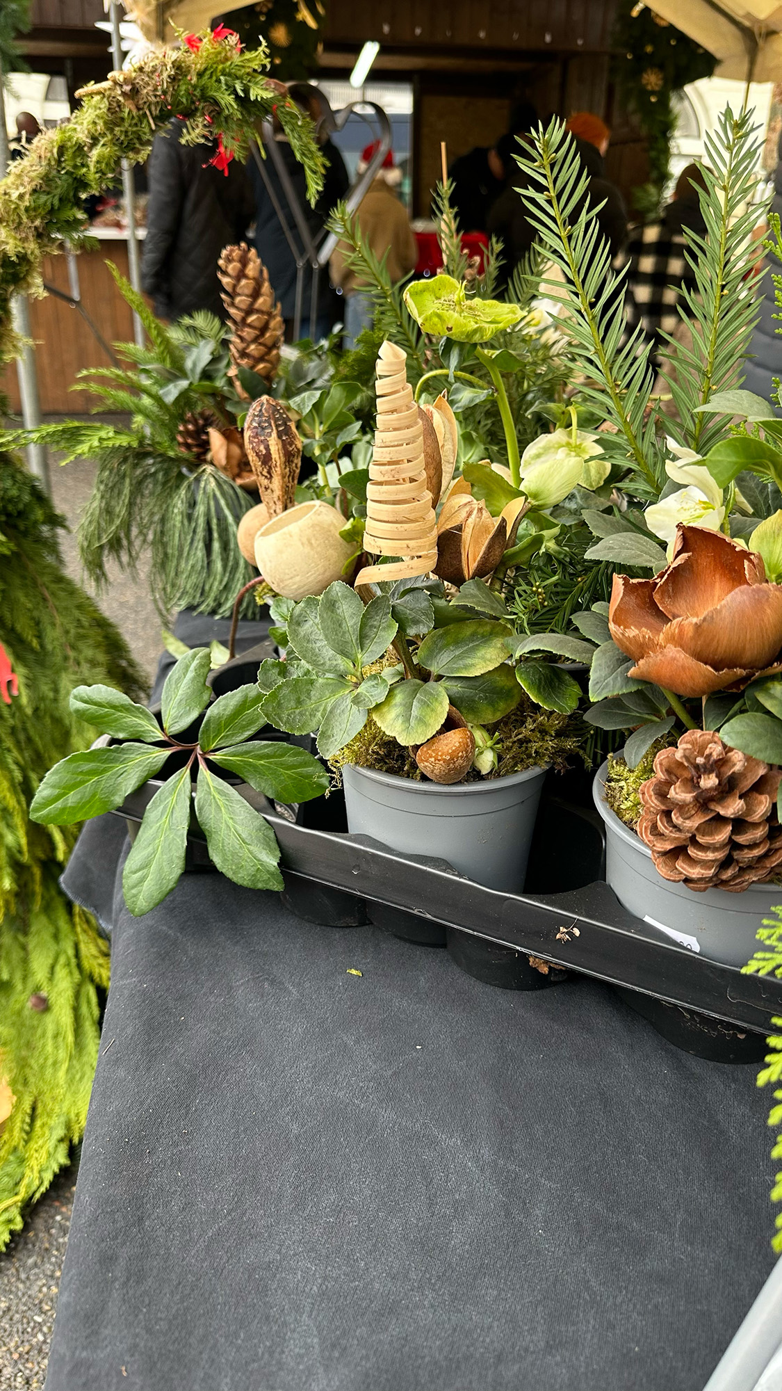 Adventsgestecke aus der Gärtnerei