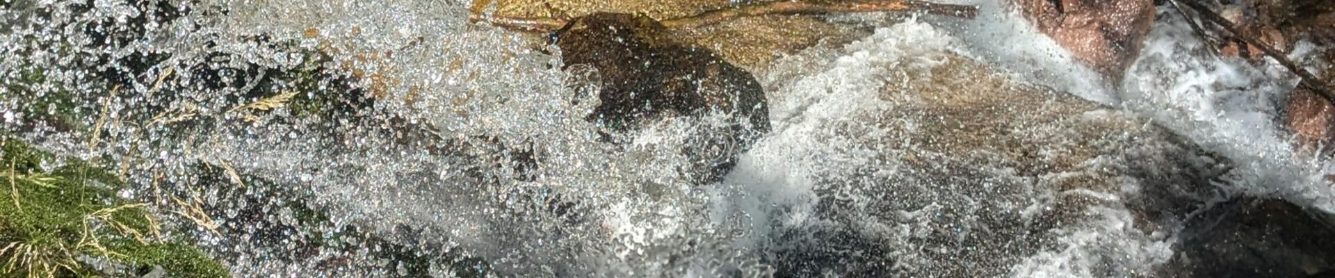 Quellwasser auf dem Hellberg 