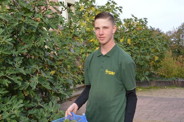 Frisch geerntet durch unsere Auszubildenden der Gärtnerei