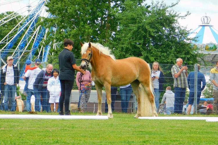 Testlauf mit den Ausbildern des PM-Mobils